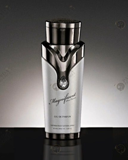 ARMAF Magnificent Pour Homme