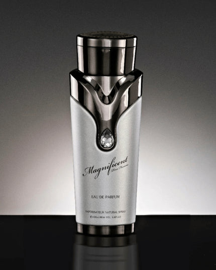 Magnificent Pour Homme by Armaf