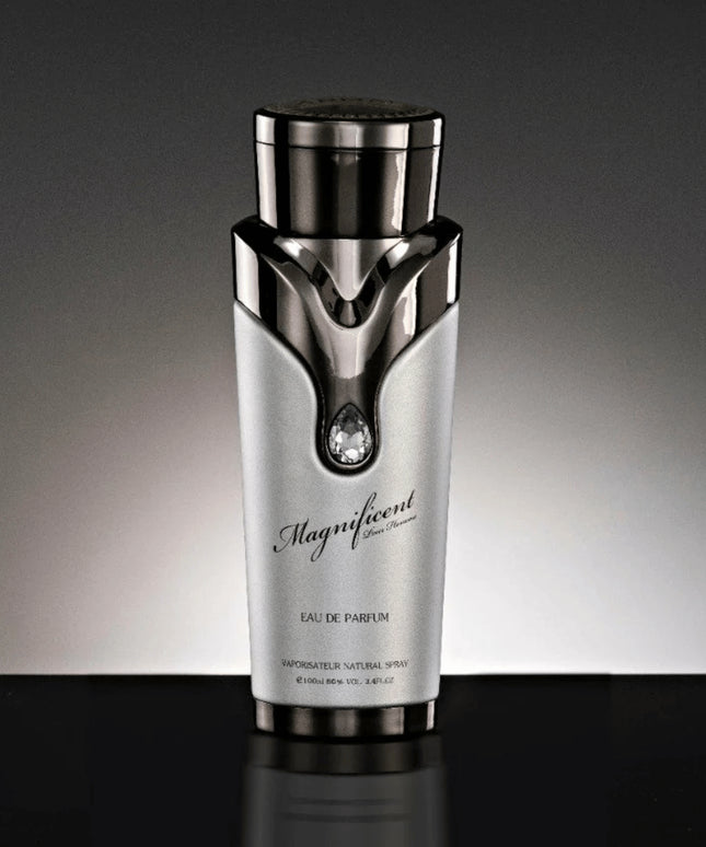 Magnificent Pour Homme by Armaf