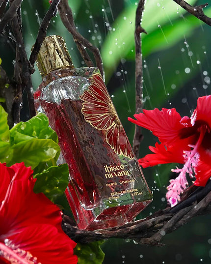 Ibisco Nirvana (Paris Corner)