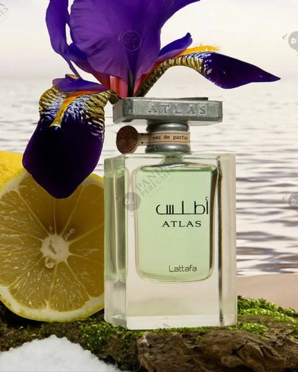 Lattafa Atlas