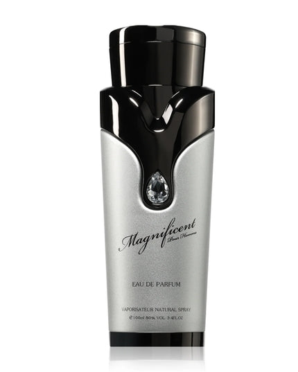 Magnificent Pour Homme - 100ml by Armaf