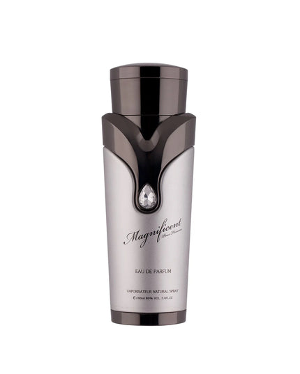 Magnificent Pour Homme by Armaf