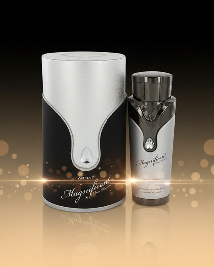 Magnificent Pour Homme - 100ml by Armaf