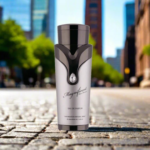 Magnificent Pour Homme - 100ml by Armaf